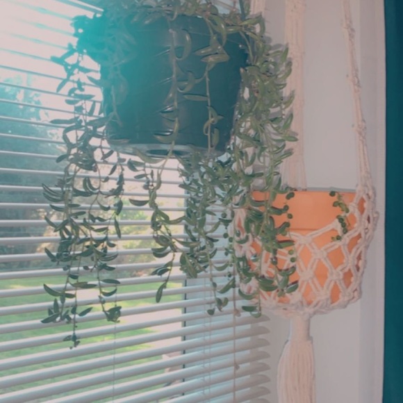 Meet your Posher, ASTRO THRIFT - Picture 3 of 8